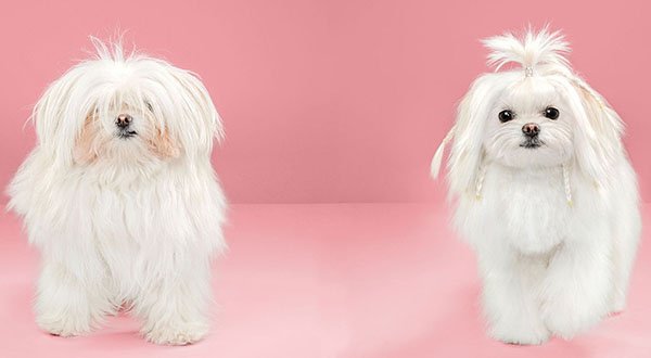 The Hard Truth about Innovative Cultures